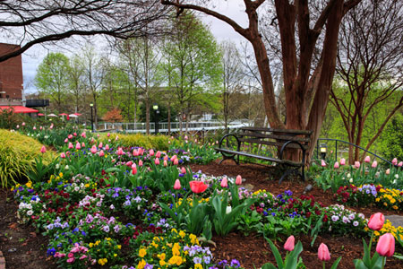 Downtown Southern Pines